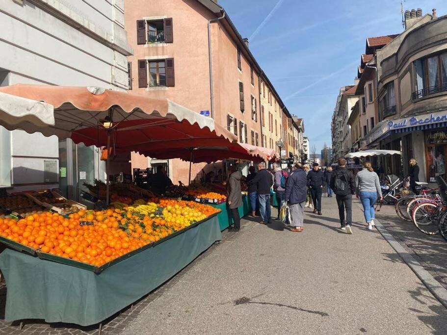 Quai Des Cordeliers, Balcon Et Vieille Ville آنسي المظهر الخارجي الصورة